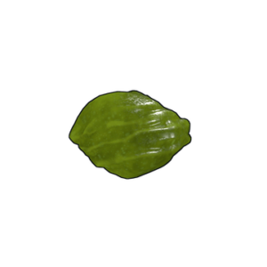 Acid Rock