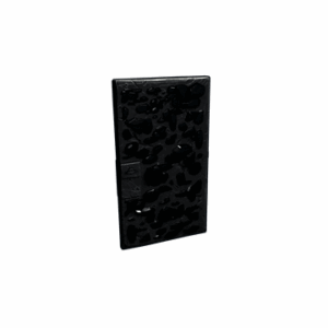 Blackstone Door