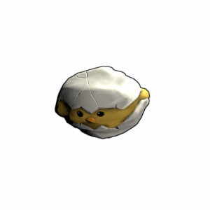 Mister Chick Rock