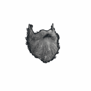 Santa Beard