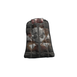 Sleep Catcher
