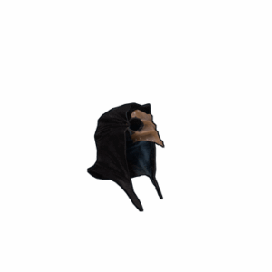 The Plague Doctor