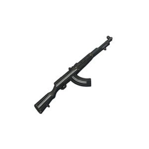 Training SKS